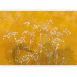 Fotobehang - Meadow Bathed in the Sun