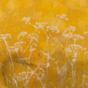 Fotobehang - Meadow Bathed in the Sun
