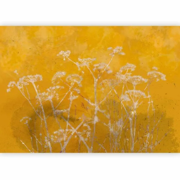 Fotobehang - Meadow Bathed in the Sun