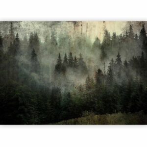Fotobehang - Misty Beauty of the Forest