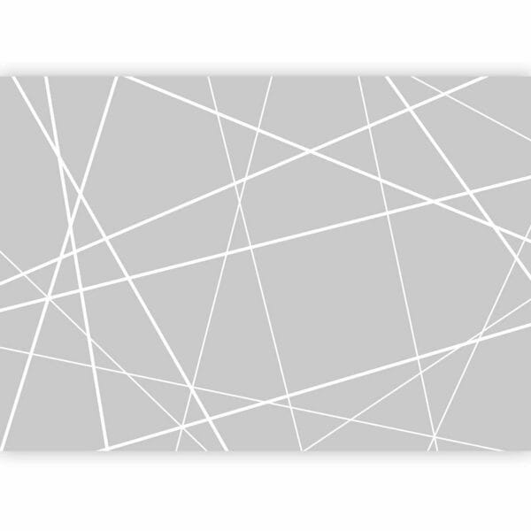 Fotobehang - Modern Cobweb