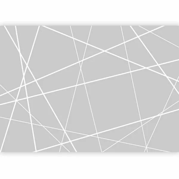 Fotobehang - Modern Cobweb