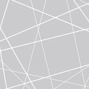 Fotobehang - Modern Cobweb