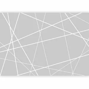 Fotobehang - Modern Cobweb