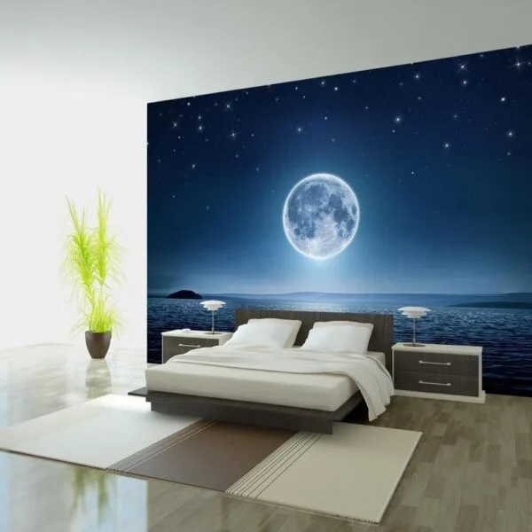 Fotobehang - Moonlit night