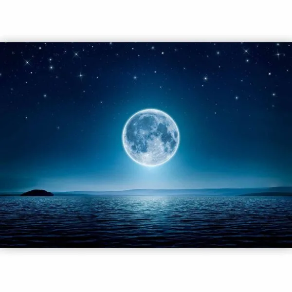 Fotobehang - Moonlit night