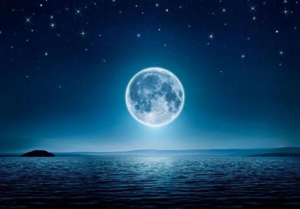 Fotobehang - Moonlit night
