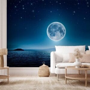 Fotobehang - Moonlit night