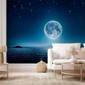 Fotobehang - Moonlit night