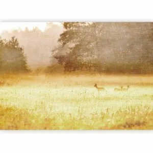 Fotobehang - Morning Dew