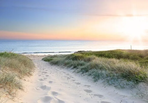 Fotobehang - Morning walk on the beach