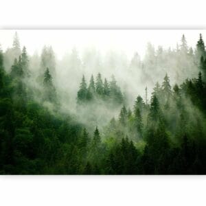 Fotobehang - Mountain Forest (Green)