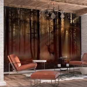 Fotobehang - Mystical Forest - First Variant