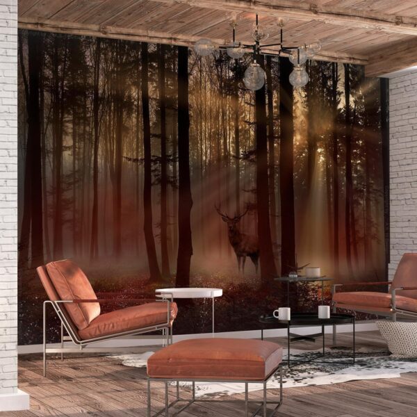 Fotobehang - Mystical Forest - First Variant