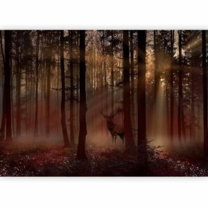 Fotobehang - Mystical Forest - First Variant
