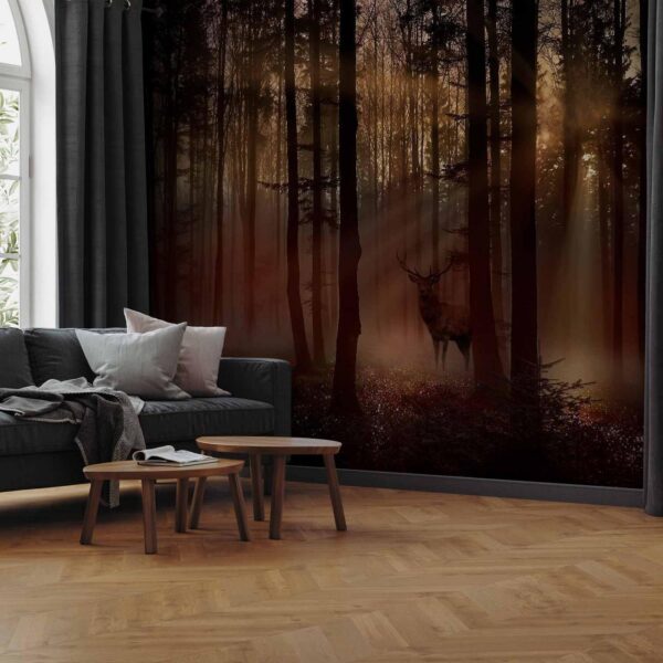 Fotobehang - Mystical Forest - First Variant