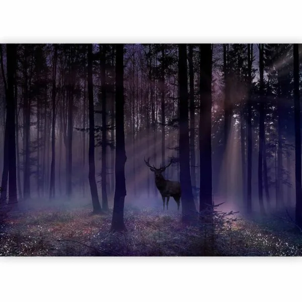 Fotobehang - Mystical Forest - Second Variant