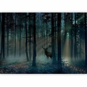 Fotobehang - Mystical Forest - Third Variant