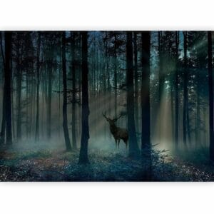 Fotobehang - Mystical Forest - Third Variant