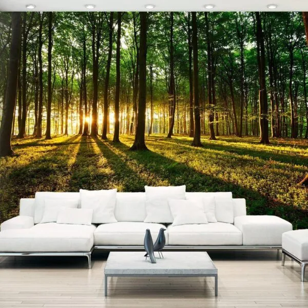 Fotobehang - Mystical Morning