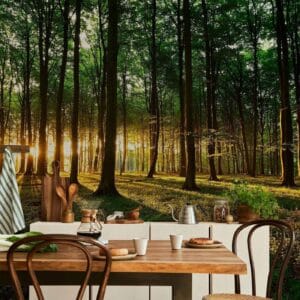 Fotobehang - Mystical Morning