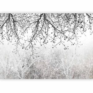 Fotobehang - Natural Brightness