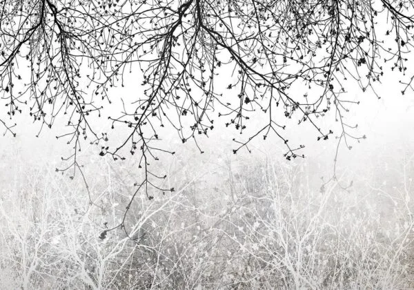 Fotobehang - Natural Brightness