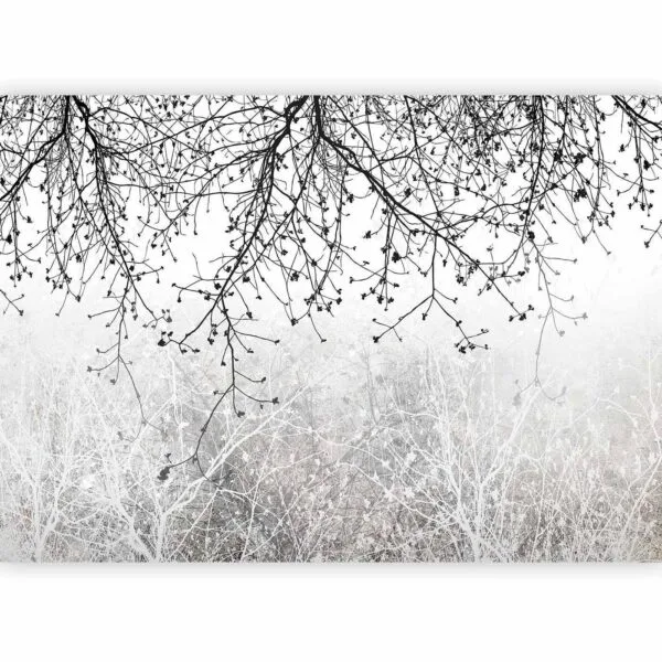 Fotobehang - Natural Brightness