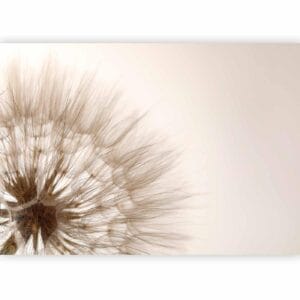 Fotobehang - Nature close-up - close-up motif of a blowfly flower in sepia