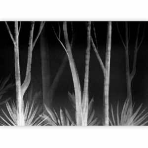 Fotobehang - Noise of the forest at night - minimalist landscape of white trees on a black background
