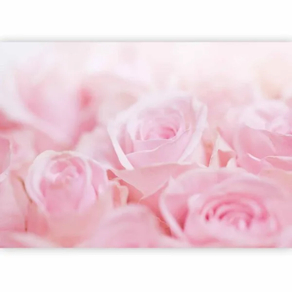 Fotobehang - Ocean of Roses