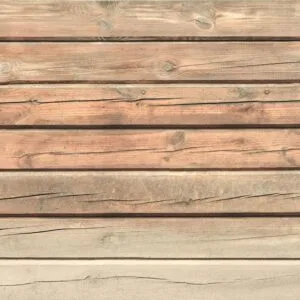 Fotobehang - Old Pine