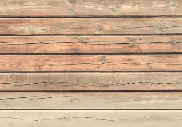 Fotobehang - Old Pine