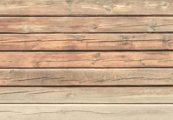 Fotobehang - Old Pine