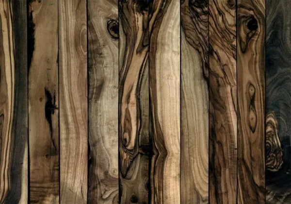 Fotobehang - Olive Wood
