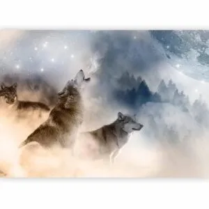 Fotobehang - Pack