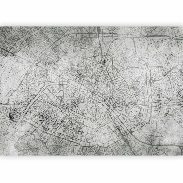 Fotobehang - Parisian Fresco