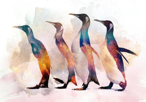 Fotobehang - Penguin Wandering