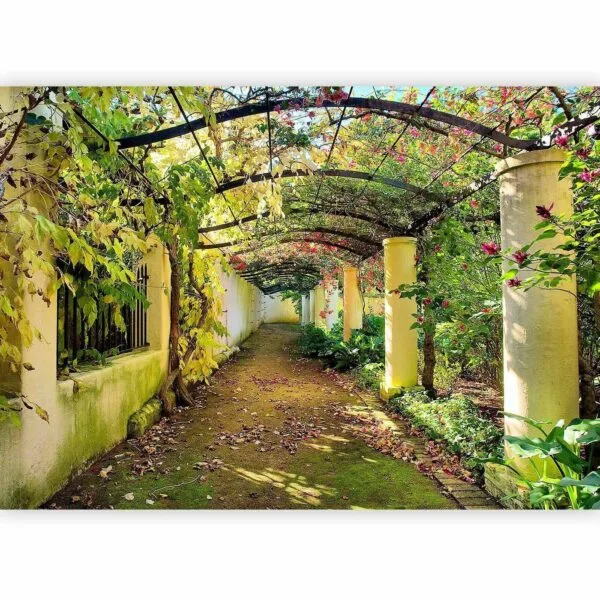 Fotobehang - Pergola