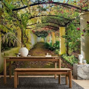 Fotobehang - Pergola