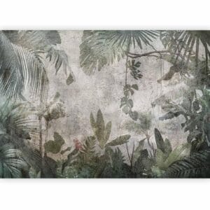 Fotobehang - Rain Forest in the Fog