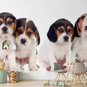 Fotobehang - Sad Puppies