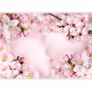 Fotobehang - Spring Cherry Blossom