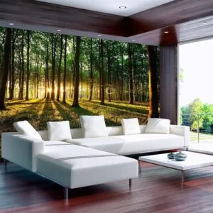 Fotobehang - Spring: Morning in the Forest
