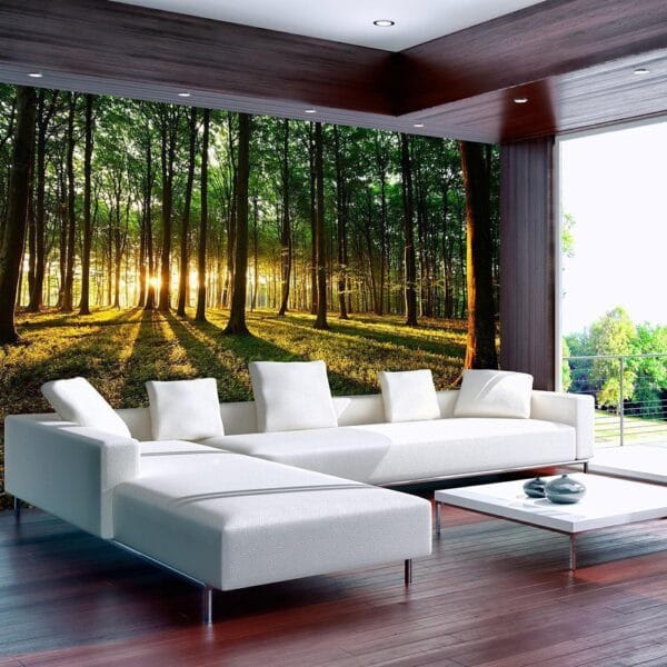 Fotobehang - Spring: Morning in the Forest
