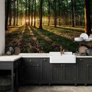 Fotobehang - Spring: Morning in the Forest