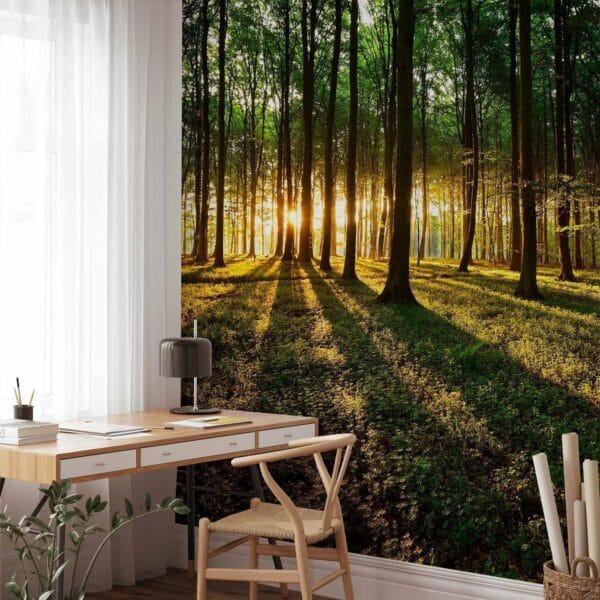 Fotobehang - Spring: Morning in the Forest