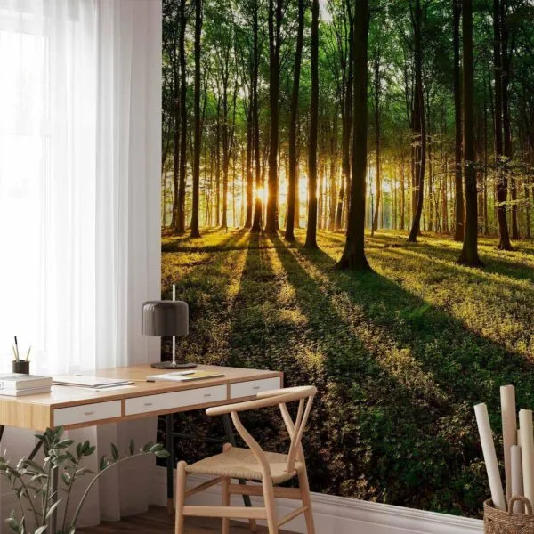 Fotobehang - Spring: Morning in the Forest