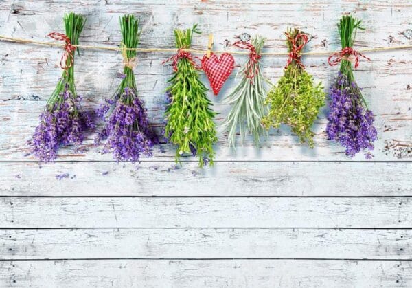 Fotobehang - Spring inspirations