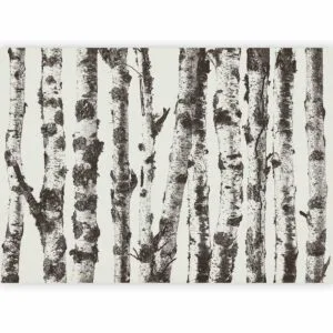 Fotobehang - Stately Birches - First Variant